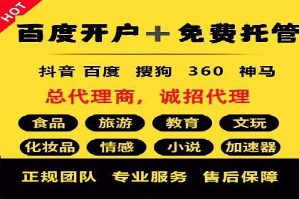 成功背后的力量：SEM推广代运营公司的故事